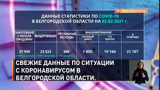 Свежие данные по ситуации с коронавирусом в Белгородской области