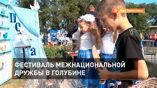 Фестиваль межнациональной дружбы в Голубине
