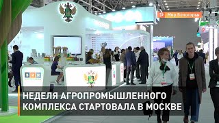 Неделя агропромышленного комплекса стартовала в Москве
