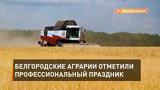 Белгородские аграрии отметили профессиональный праздник