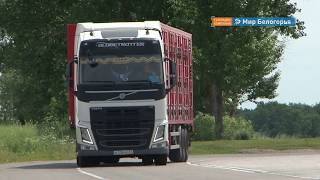 Новые правила техосмотра вступили в силу