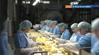 Евгений Савченко о господдержке промпарков