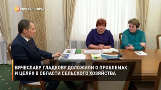 Вячеславу Гладкову доложили о проблемах и целях в области сельского хозяйства
