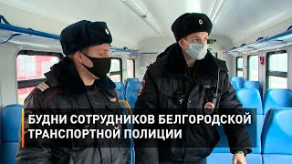 Будни сотрудников белгородской транспортной полиции 