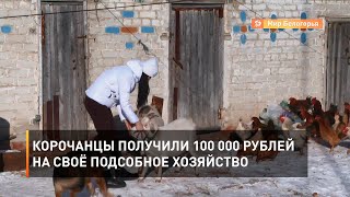 Корочанцы получили 100 000 рублей на своё подсобное хозяйство