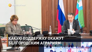 Какую поддержку окажут белгородским аграриям