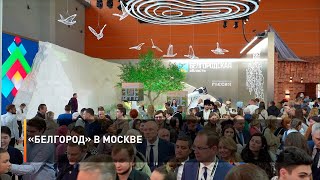 «Белгород» в Москве