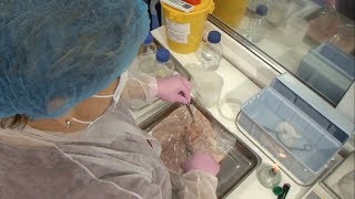 Как работает белгородская ветлаборатория