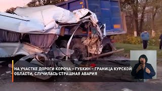 На участке дороги Короча – Губкин – граница Курской области, случилась страшная авария