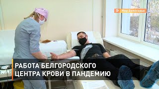 Работа белгородского Центра крови в пандемию