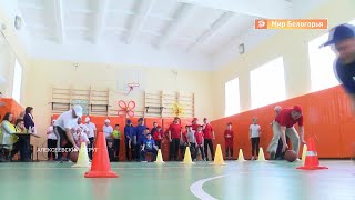 Ремонт школьного спортзала в Щербакове