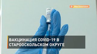 Вакцинация COVID-19 в Старооскольском округе