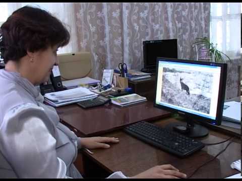 Лучшие красногвардейские педагоги получили гранты главы района