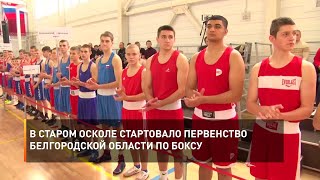 В Старом Осколе стартовало Первенство Белгородской области по боксу