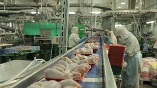 В Белгородской области снизилось производство мяса
