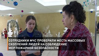 Сотрудники МЧС проверили места массовых скоплений людей на соблюдение мер пожарной безопасности