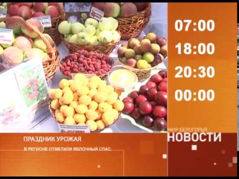 Смотрите на «Мире Белогорья» сегодня, 21 августа