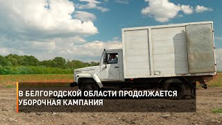 В Белгородской области продолжается уборочная кампания