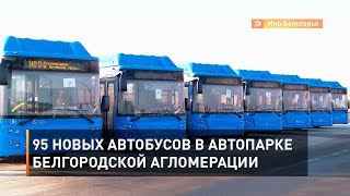 95 новых автобусов в автопарке белгородской агломерации 