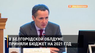 В белгородской облдуме приняли бюджет на 2021 год