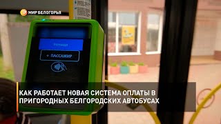 Как работает новая система оплаты в пригородных белгородских автобусах