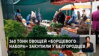 360 тонн овощей «борщевого набора» закупили у белгородцев 
