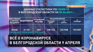 Всё о коронавирусе в Белгородской области 9 апреля
