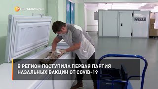 В регион поступила первая партия назальных вакцин от COVID-19