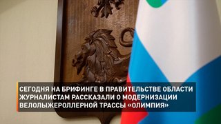      Сегодня на брифинге в Правительстве области журналистам рассказали о модернизации велолыжероллерной трассы «Олимпия»
