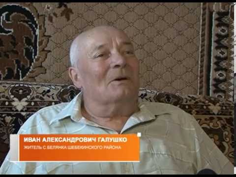 День семьи: супруги Галушко