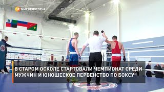В Старом Осколе стартовали Чемпионат среди мужчин и юношеское Первенство по боксу
