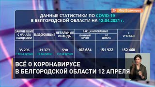 Всё о коронавирусе  в Белгородской области 12 апреля