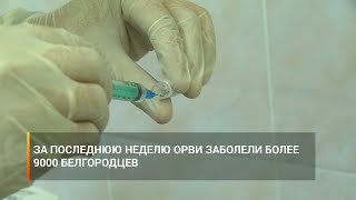 За последнюю неделю ОРВИ заболели более 9000 белгородцев