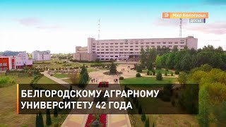 Белгородскому аграрному университету 42 года