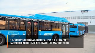 В Белгородской агломерации с 1 января запустят 10 новых автобусных маршрутов