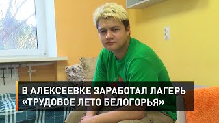 В Алексеевке заработал лагерь «Трудовое лето Белогорья»