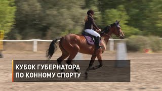 Кубок губернатора по конному спорту