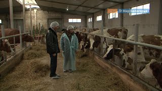 Курсы по бизнесу в Белгороде