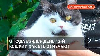 Откуда взялся день 13-й кошки и как его отмечают 