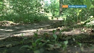 Велолыжероллерная трасса появится в Старом Осколе
