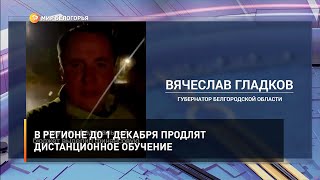 В регионе до 1 декабря продлят дистанционное обучение