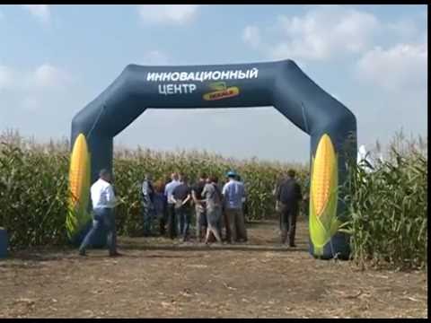 Инновационный комплекс DEKALB® 