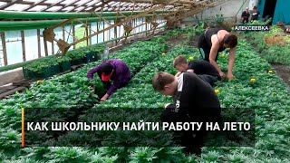 Как школьнику найти работу на лето
