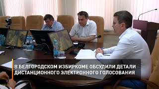 В Белгородском избиркоме обсудили детали дистанционного электронного голосования