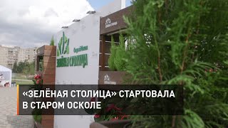 «Зелёная столица» стартовала в Старом Осколе