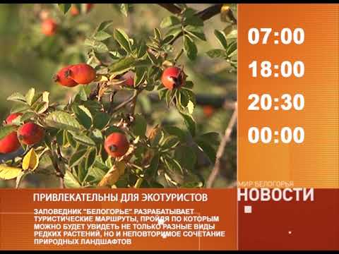 Смотрите на «Мире Белогорья» сегодня, 26 сентября