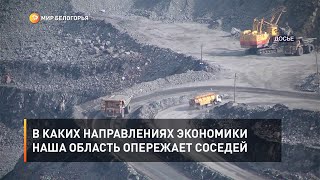 В каких направлениях экономики наша область опережает соседей