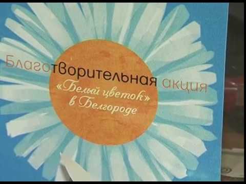 Итоги акции «Белый цветок»