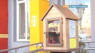 В Губкине борются с воровством книг