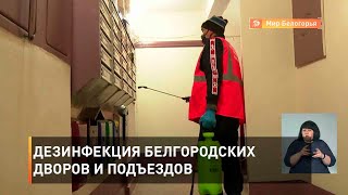 Дезинфекция белгородских дворов и подъездов